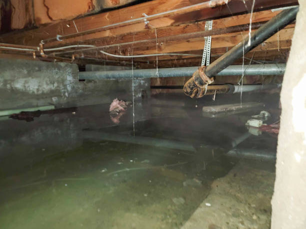 Best Fire Damage Restoration  in Cornwells Heights, PA