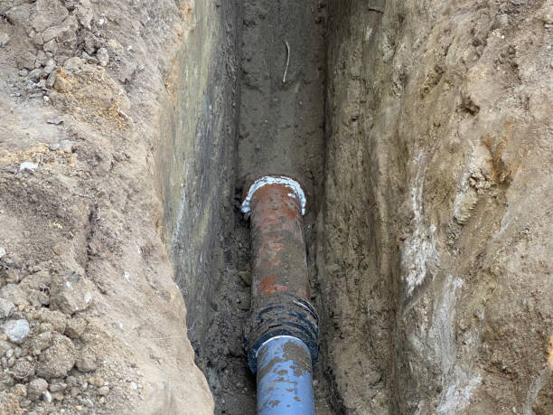 Best Local water damage restoration  in Cornwells Heights, PA
