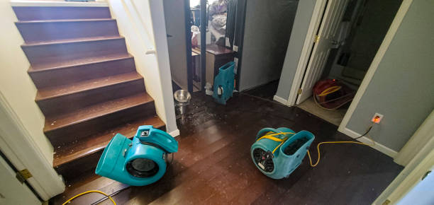Best Water damage restoration mold remediation  in Cornwells Heights, PA