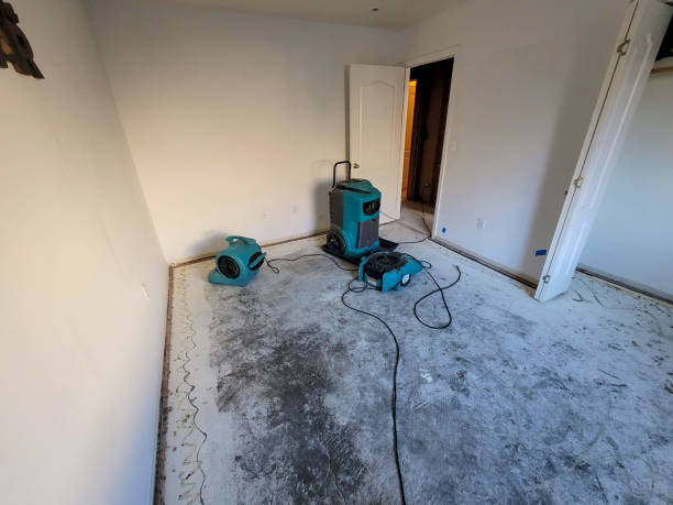 Best Sewage cleanup and water damage restoration  in Cornwells Heights, PA