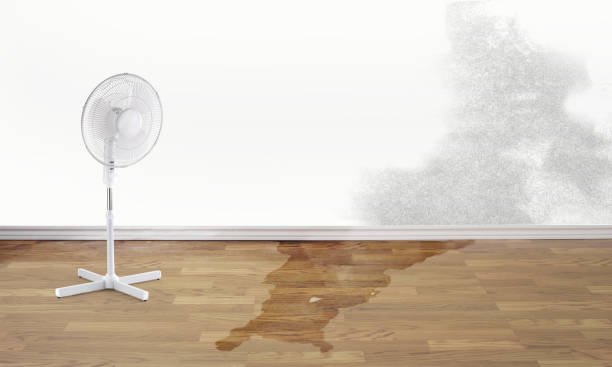 Best Residential water damage restoration  in Cornwells Heights, PA