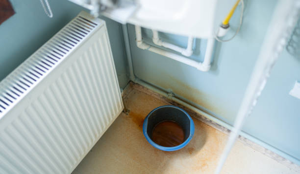 Best Ceiling water damage repair  in Cornwells Heights, PA