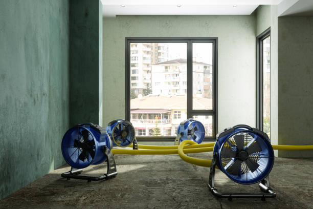 Best Water damage restoration near me  in Cornwells Heights, PA